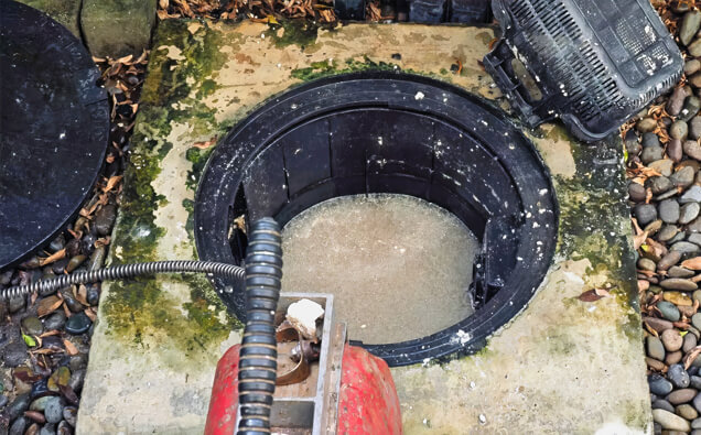 https://blockeddrainsbalcatta.com.au/uploads/2025/07/blocked-drains-820453.jpg