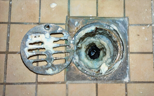 https://blockeddrainsbalcatta.com.au/uploads/2025/07/blocked-shower-drains-33151.jpg