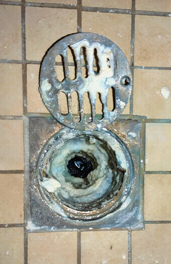 https://blockeddrainsbalcatta.com.au/uploads/2025/07/blocked-shower-drains-86331.jpg