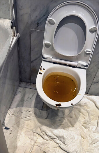 https://blockeddrainsbalcatta.com.au/uploads/2025/07/blocked-toilet-27793.jpg