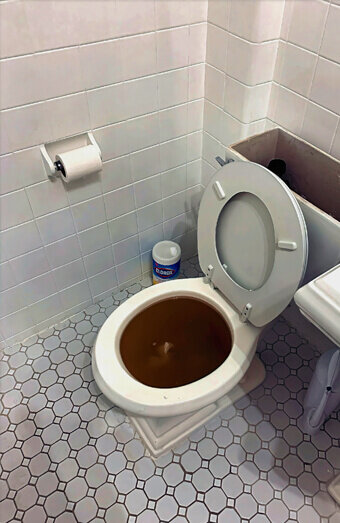https://blockeddrainsbalcatta.com.au/uploads/2025/07/blocked-toilet-42230.jpg