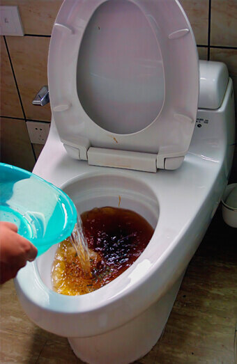 https://blockeddrainsbalcatta.com.au/uploads/2025/07/blocked-toilet-93159.jpg